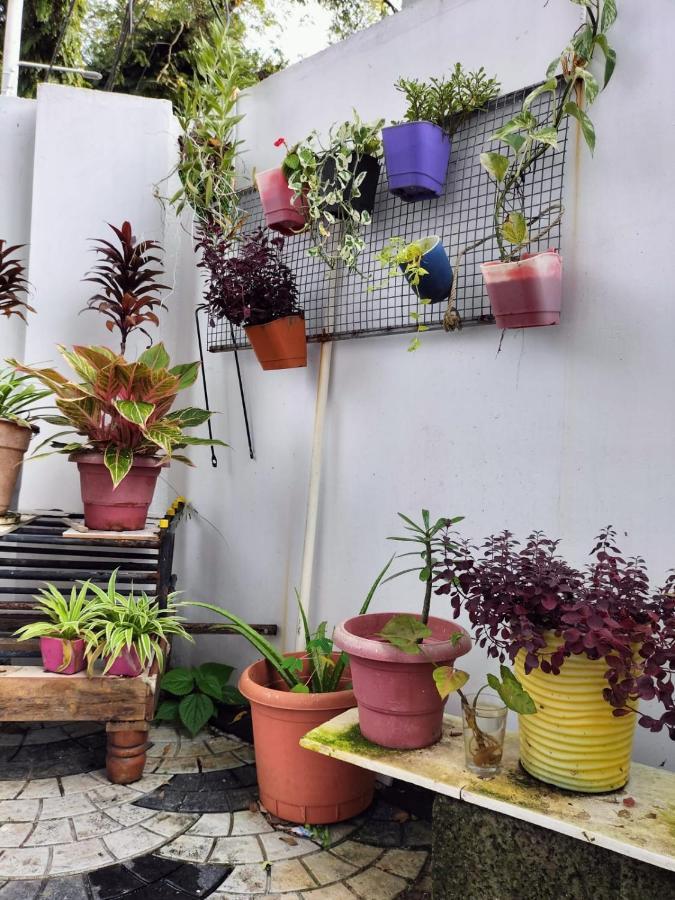 Joseys Homestay Kochi ภายนอก รูปภาพ
